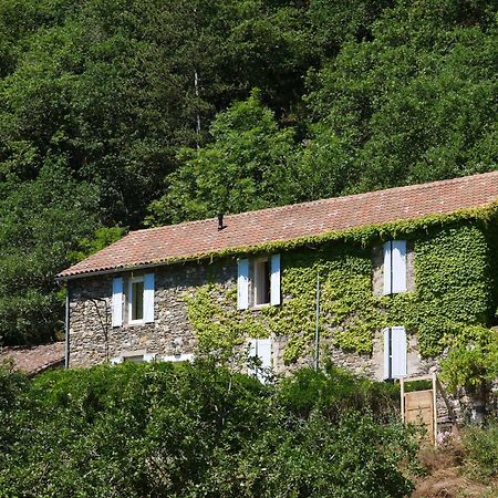 Les Jardins De Lumiere Bed & Breakfast Brusque Eksteriør bilde