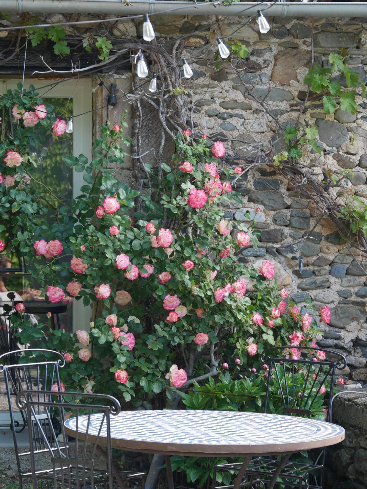 Les Jardins De Lumiere Bed & Breakfast Brusque Eksteriør bilde