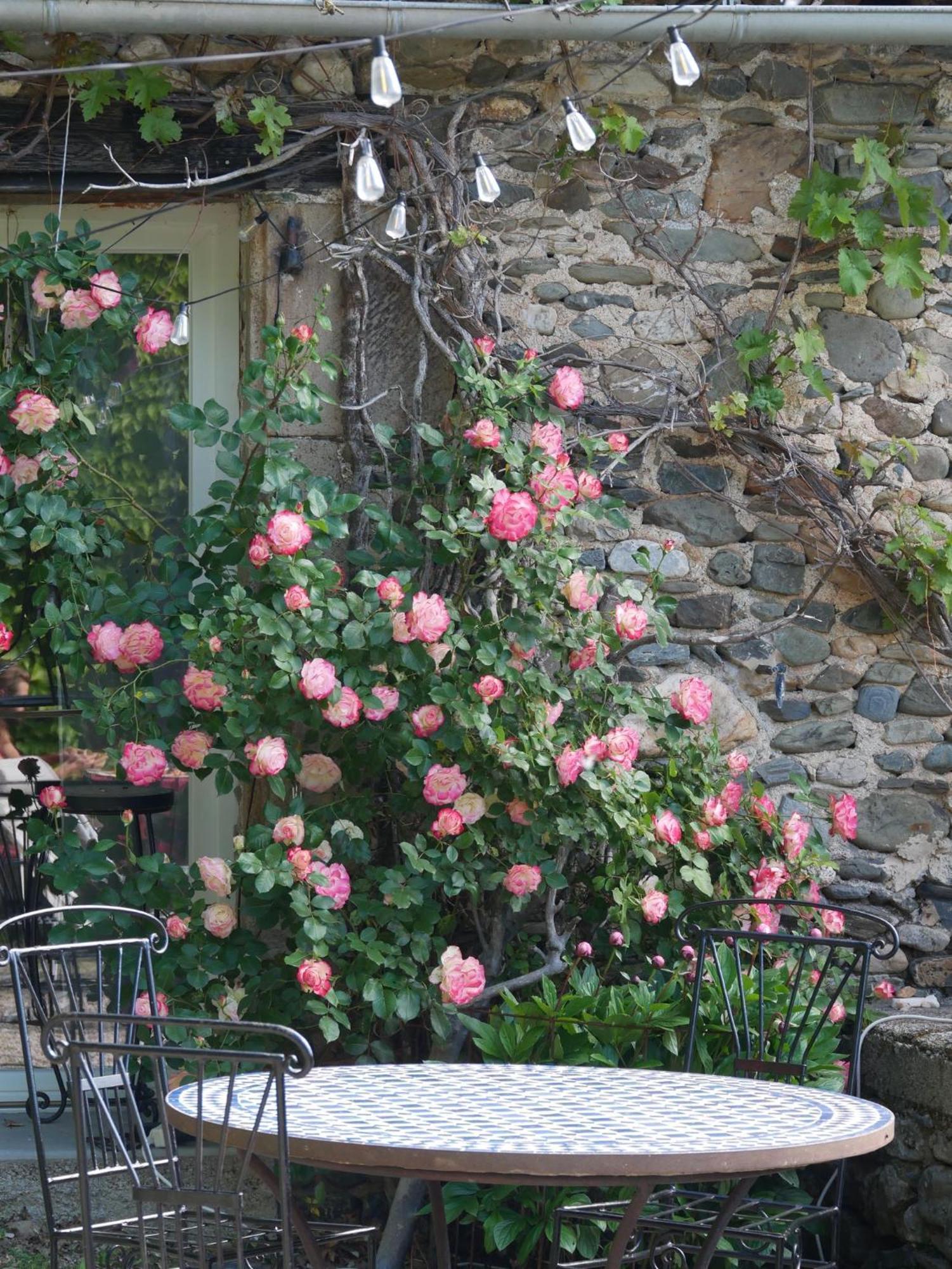 Les Jardins De Lumiere Bed & Breakfast Brusque Eksteriør bilde